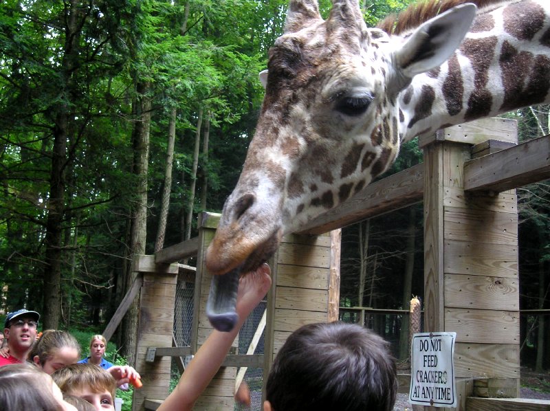 Poconos Vacation Claws and Paws